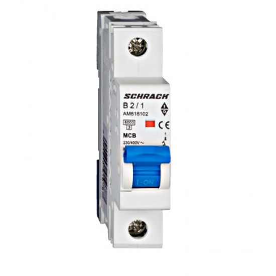 Siguranta monopolara 2A  Curba B Schrack